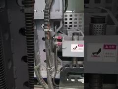 토르티야 생산 라인